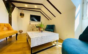 The Cartesian Suite In A Charming Mansion At The Gates Of Tours